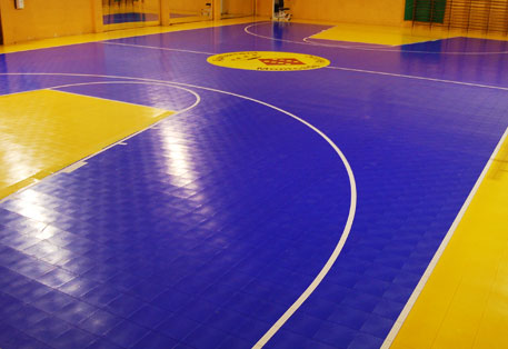 Indoor Basketball Court. Sport Court Defense is